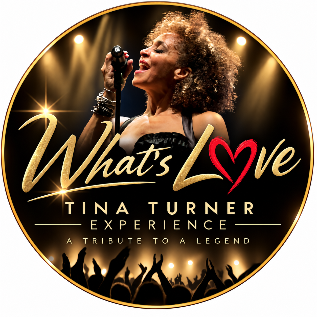 Logo What’s Love – Tina Turner Experience